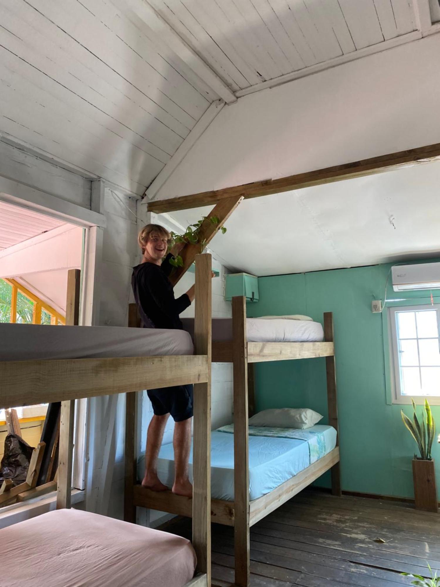 The Bocas Corner Hostel Bocas Town Bagian luar foto