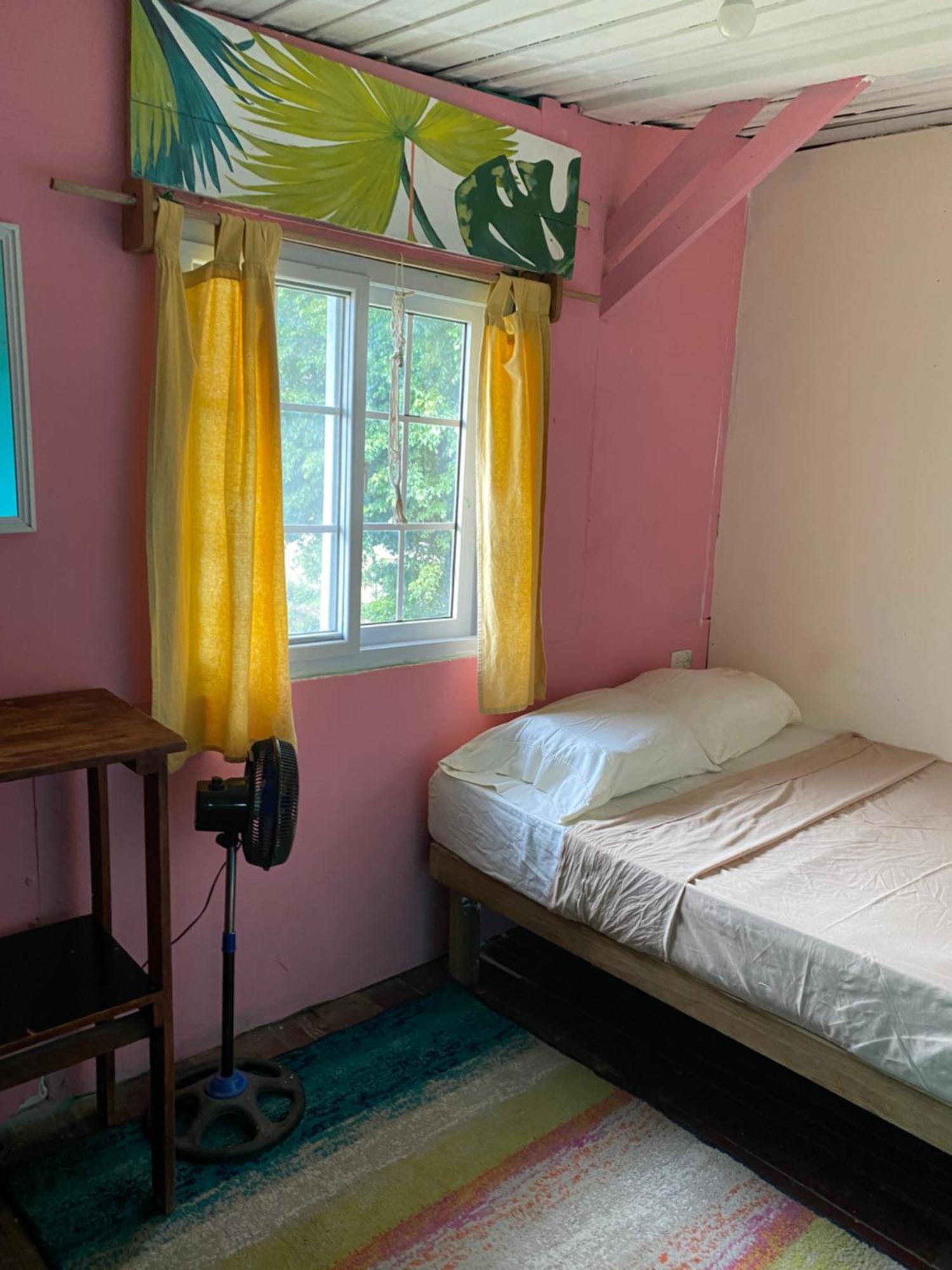 The Bocas Corner Hostel Bocas Town Bagian luar foto