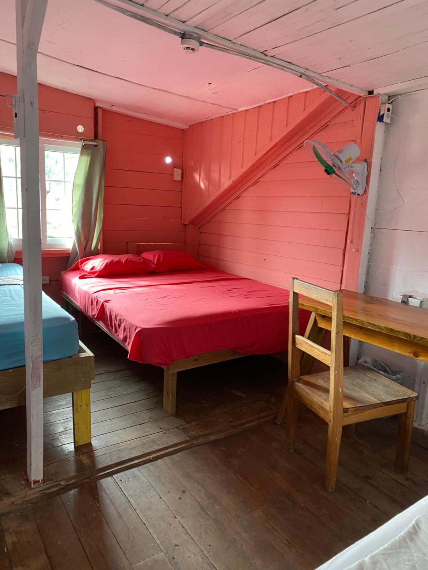 The Bocas Corner Hostel Bocas Town Bagian luar foto