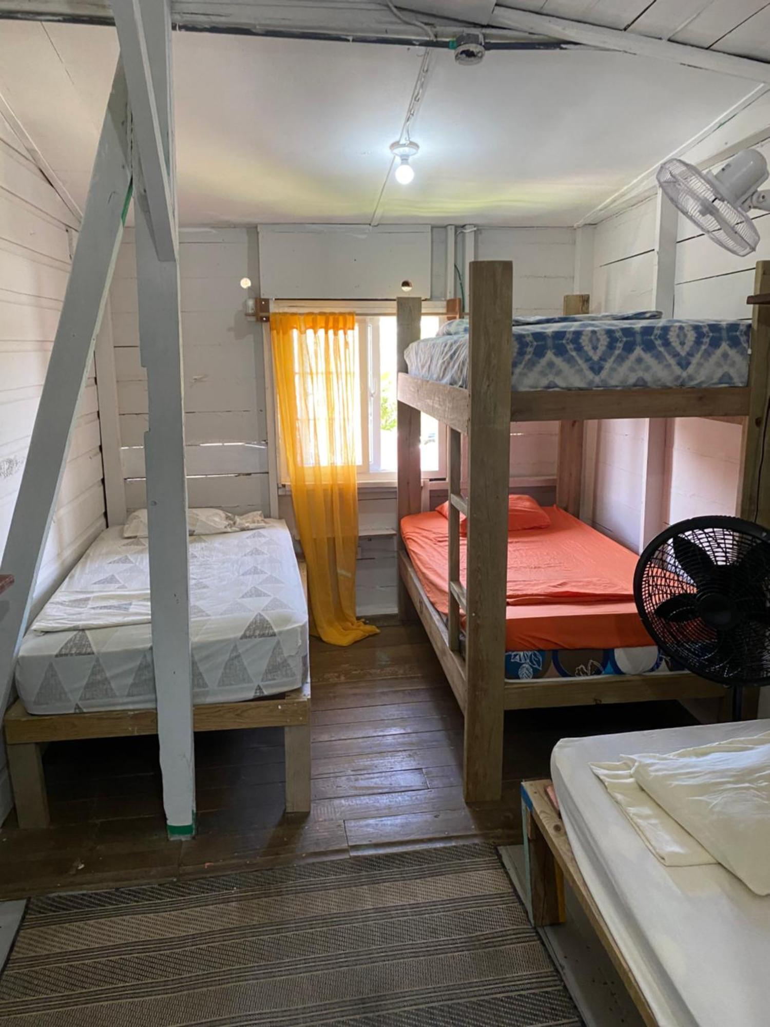 The Bocas Corner Hostel Bocas Town Bagian luar foto