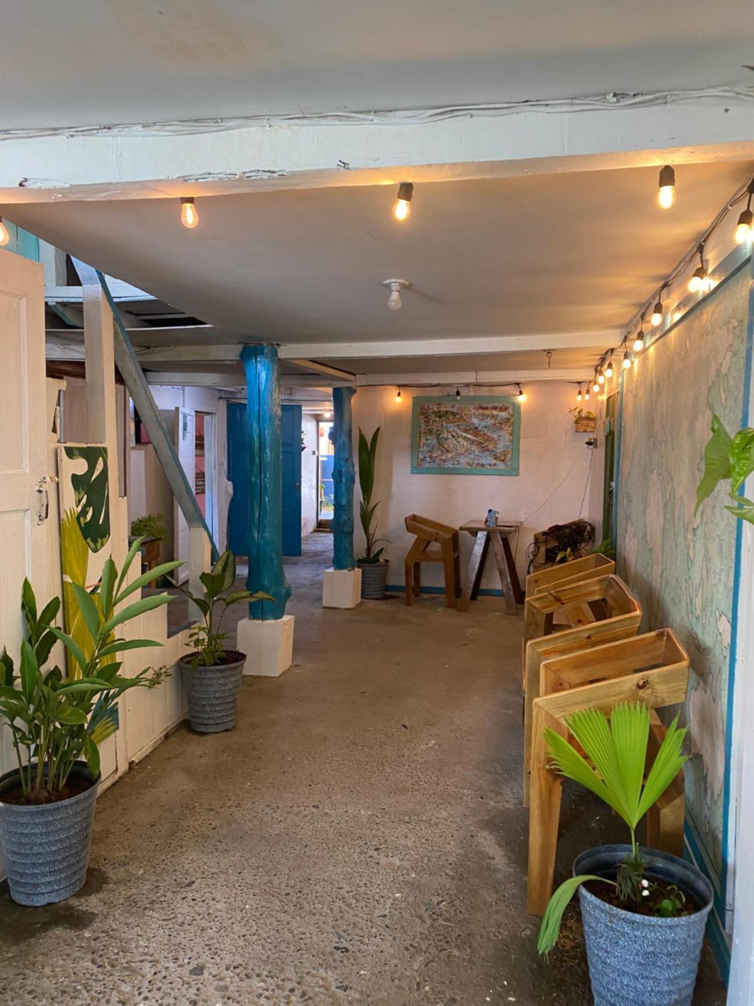 The Bocas Corner Hostel Bocas Town Bagian luar foto